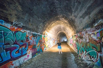 Ernest Junction Railway Tunnel